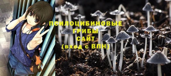 Альфа ПВП Беломорск