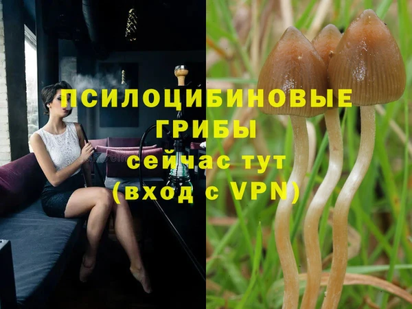 Альфа ПВП Беломорск
